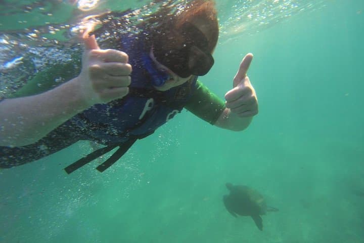 7-Day Galápagos Nature Tour — Santa Cruz & Isabela: Snorkel, Hike & Wildlife photo 5