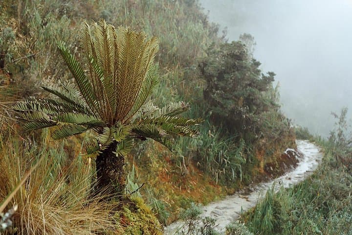 Inca Trail 4-Day Classic Trek to Machu Picchu photo 5