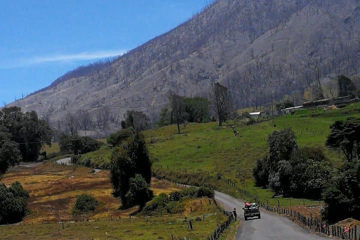 Irazú & Guayabo Day Trip from San José: Volcano Craters, Dwarf Forests & Prehispanic Ruins photo 6