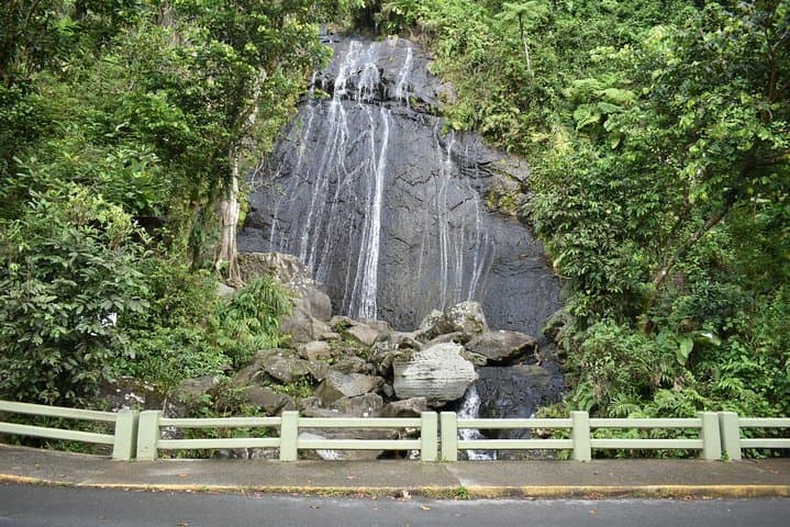 El Yunque Rainforest Day Tour from San Juan: Guided Hike, Waterfalls & Tower Views photo 5