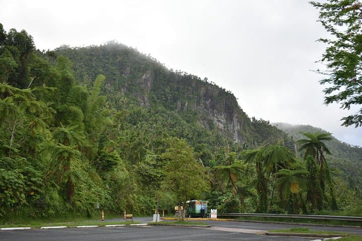 El Yunque Rainforest Day Tour from San Juan: Guided Hike, Waterfalls & Tower Views photo 2