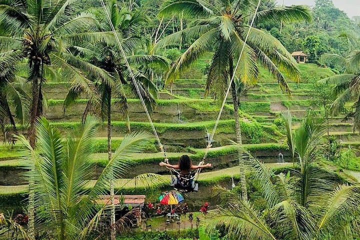 One-Day Bali Highlights: Tegenungan, Tegalalang, Batur & Bamboo Forest photo 4