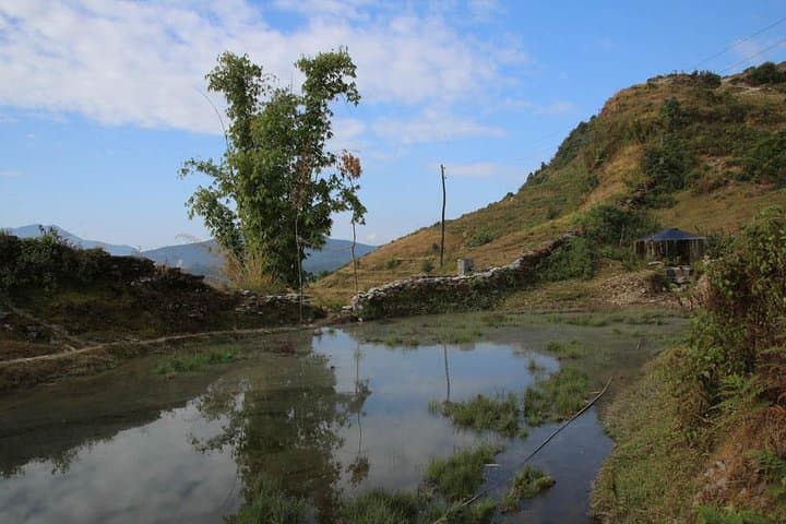 Australian Camp Trek: 7-Day Relaxing Annapurna Hike from Pokhara photo 6
