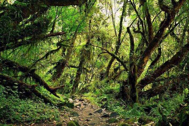 9-Day Kids-Friendly Lower Annapurna Royal Trek: Pokhara to Begnas Lake Family Trek photo 4