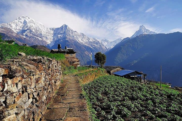 9-Day Kids-Friendly Lower Annapurna Royal Trek: Pokhara to Begnas Lake Family Trek photo 1