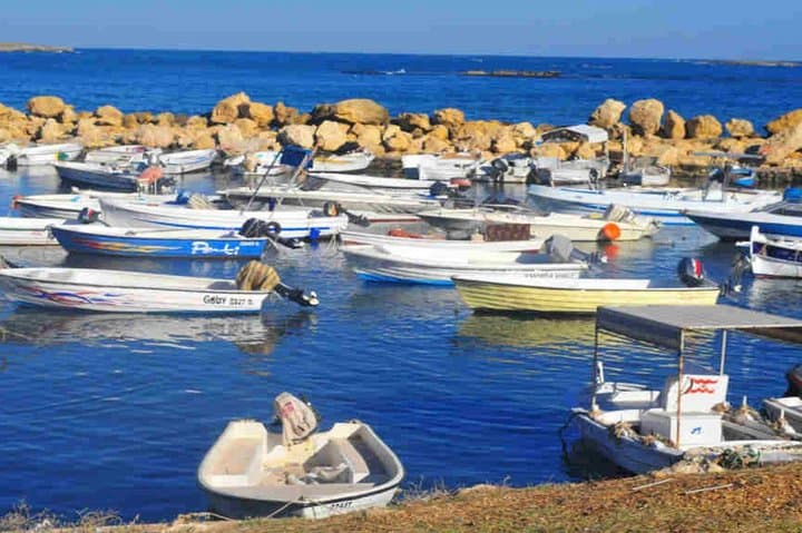 Day Trip from Beirut: Tripoli and Batroun Guided Small-Group Tour with Lunch