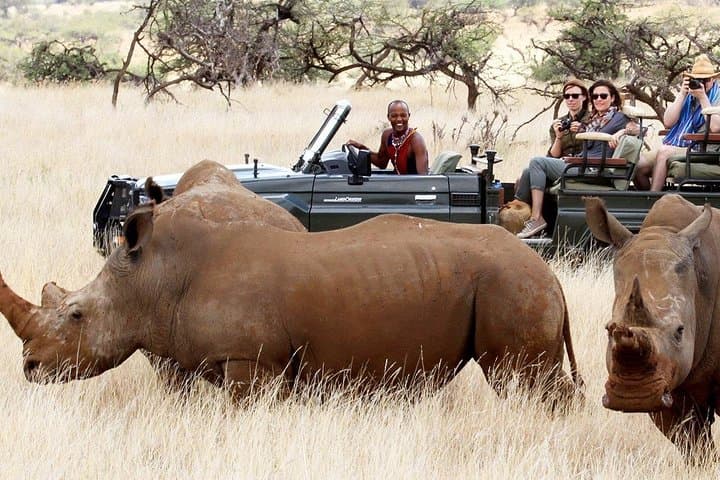 2-Night Maasai Mara Road Safari: Group-Joining Game Drive from Nairobi