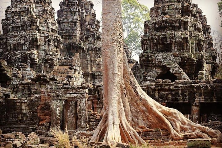 Two-Day Angkor Temples Tour — Angkor Wat, Ta Prohm & Banteay Srei photo 6