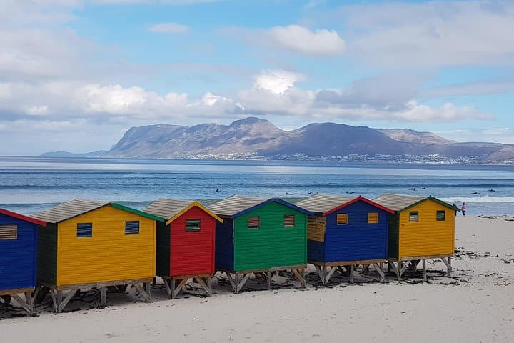 Private Penguin & Cape of Good Hope Peninsula Tour — Full-Day from Cape Town photo 2