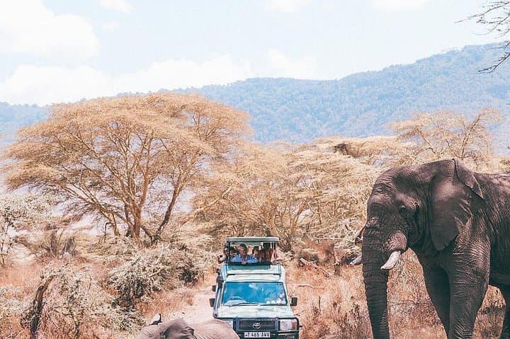 7-Day Great Migration Safari: Serengeti, Ngorongoro & Lake Natron Adventure photo 4