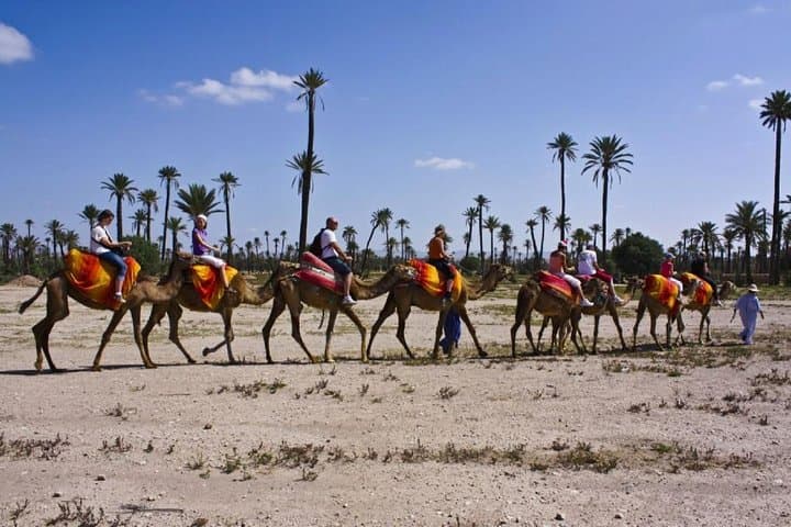 Sunset Camel Ride in Marrakech Palmeraie — One-Hour Palm Grove Experience photo 2