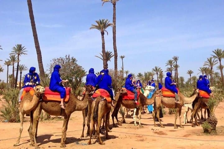 Sunset Camel Ride in Marrakech Palmeraie — One-Hour Palm Grove Experience photo 3