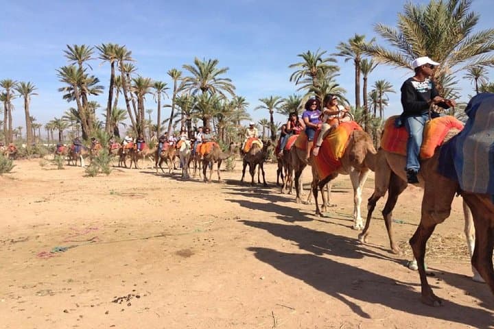 Sunset Camel Ride in Marrakech Palmeraie — One-Hour Palm Grove Experience photo 4