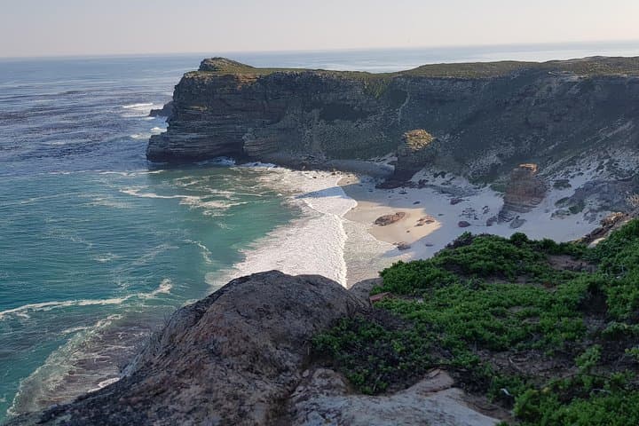 Private Penguin & Cape of Good Hope Peninsula Tour — Full-Day from Cape Town photo 5