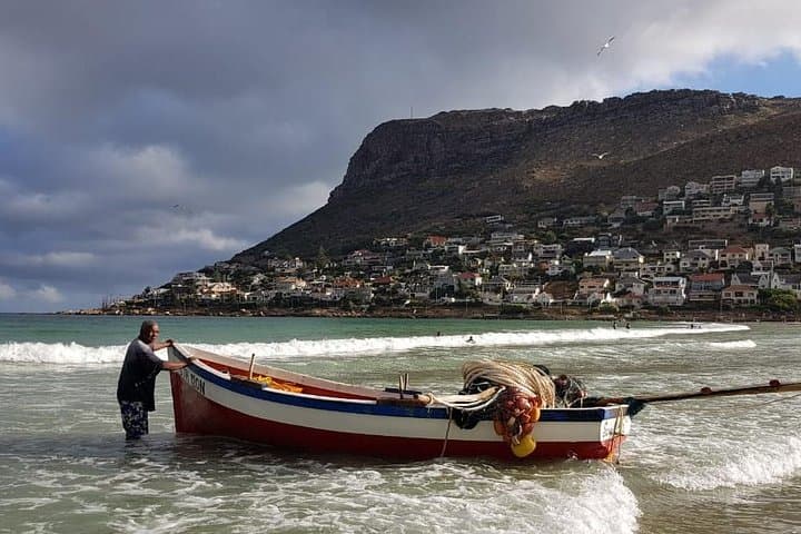 Private Penguin & Cape of Good Hope Peninsula Tour — Full-Day from Cape Town photo 6