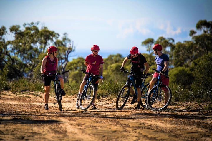 Explore Sydney’s Blue Mountains on a Private E-Bike Adventure photo 2