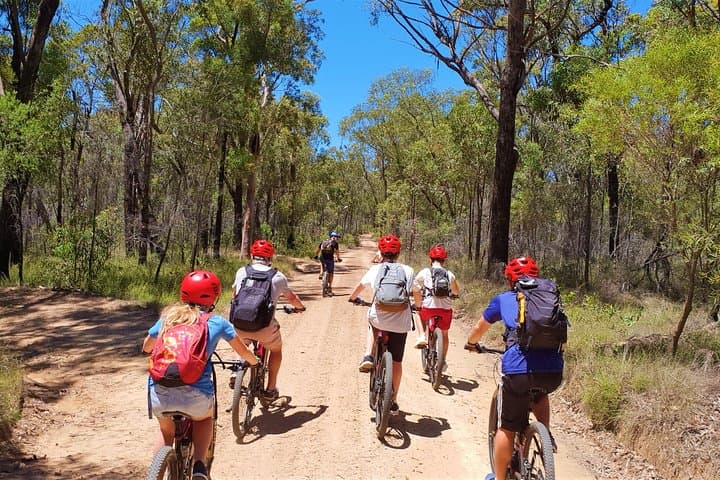 Explore Sydney’s Blue Mountains on a Private E-Bike Adventure photo 3