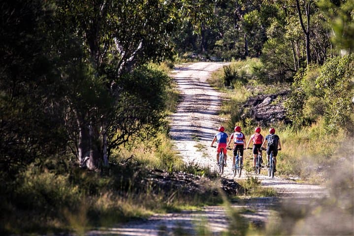 Explore Sydney’s Blue Mountains on a Private E-Bike Adventure photo 6