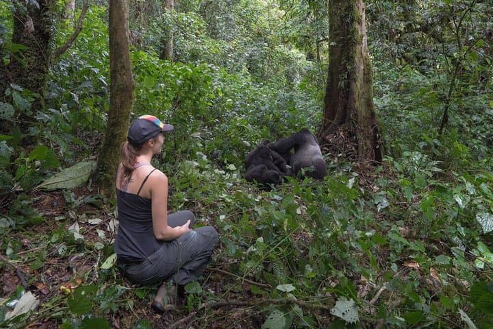 Gorilla Trekking and Kampala City Tours: 6-Day Bwindi Adventure photo 3