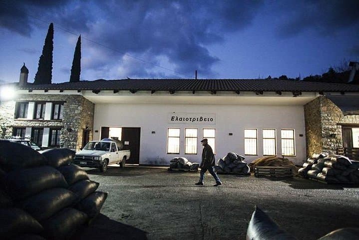 Peloponnese Olive Mill Tour & Tasting — Kalamata Grove Experience
