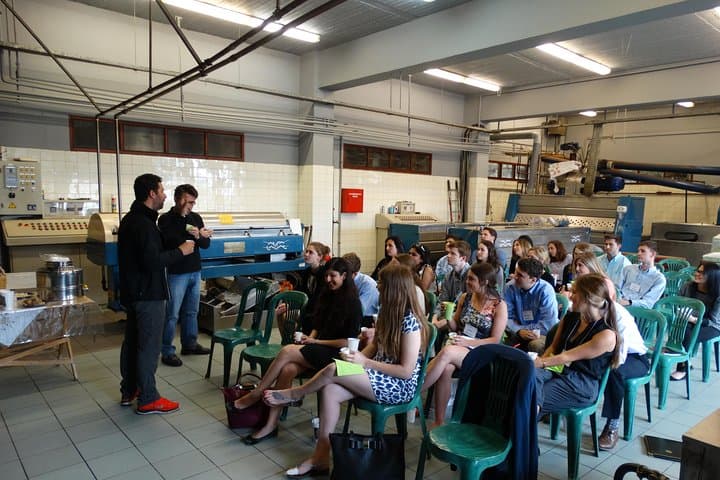 Peloponnese Olive Mill Tour & Tasting — Kalamata Grove Experience photo 2