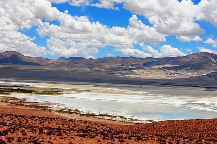Iquique to Salar del Huasco National Park: Full-Day Altiplano Wildlife & Lagoons photo 2