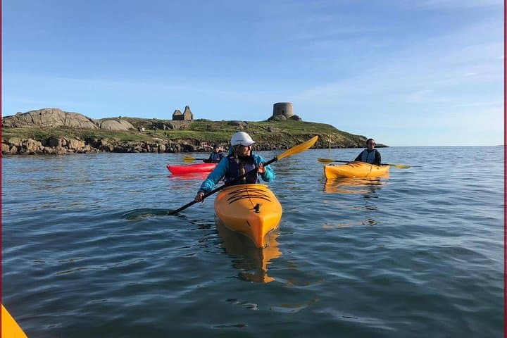 Kayak with Dalkey Island Seals: Dublin Bay Kayaking Safari from Bullock Harbour photo 2
