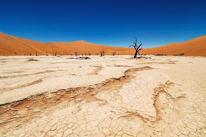3-Day Sossusvlei Dunes Tour with Lodge — Dune 45, Big Daddy & Dead Vlei photo 2