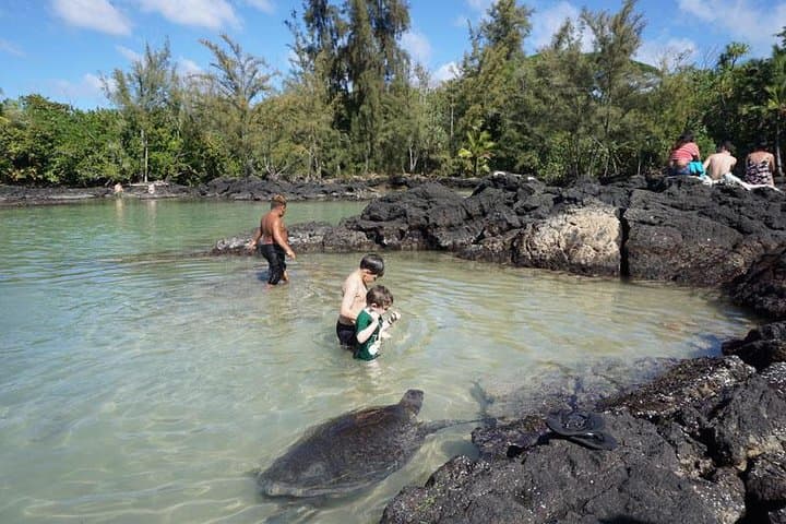 Snorkel Richardson Ocean Park: Turtles and the Black Sand Lagoon Near Hilo photo 5