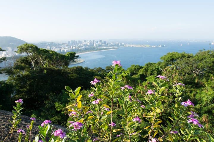 Sugarloaf Mountain Private Photography Tour — Rio de Janeiro Cable Car Experience photo 4