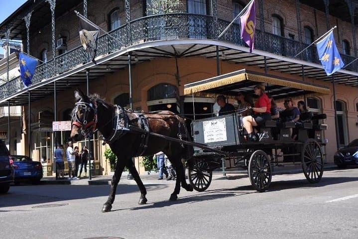 Mule-Drawn Carriage Ride Through New Orleans’ French Quarter photo 5