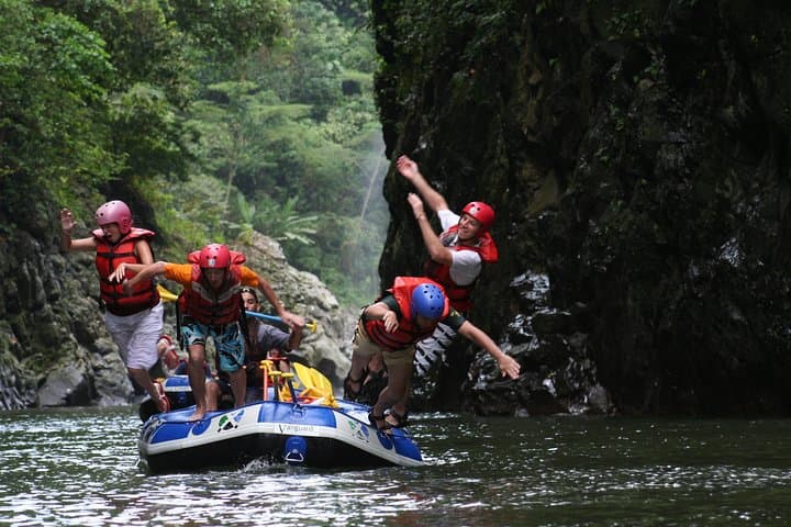 Pacuare River Whitewater Rafting from Puerto Viejo — Class III–IV Day Trip with Lunch photo 2