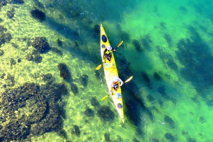 Self-Guided Middle Harbour Kayak Tour: 3-Hour Deluxe Double Kayak from Mosman photo 3