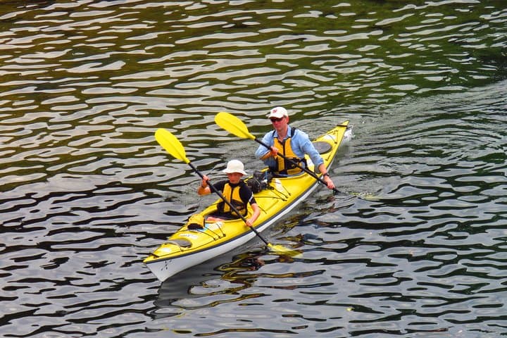 Self-Guided Middle Harbour Kayak Tour: 3-Hour Deluxe Double Kayak from Mosman photo 4