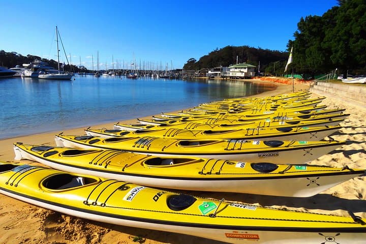 Self-Guided Middle Harbour Kayak Tour: 3-Hour Deluxe Double Kayak from Mosman photo 6