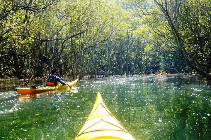 Middle Harbour Self-Guided Kayak Tour — 3-Hour Single Kayak in Sydney photo 4