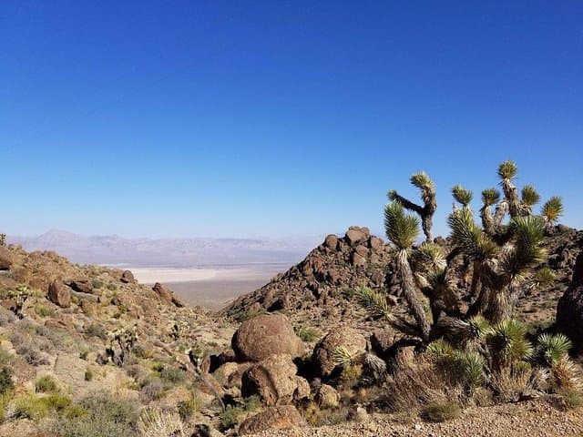 Red Rock Canyon Road Bike Tour — Guided or Self-Guided Scenic Loop from Las Vegas photo 2