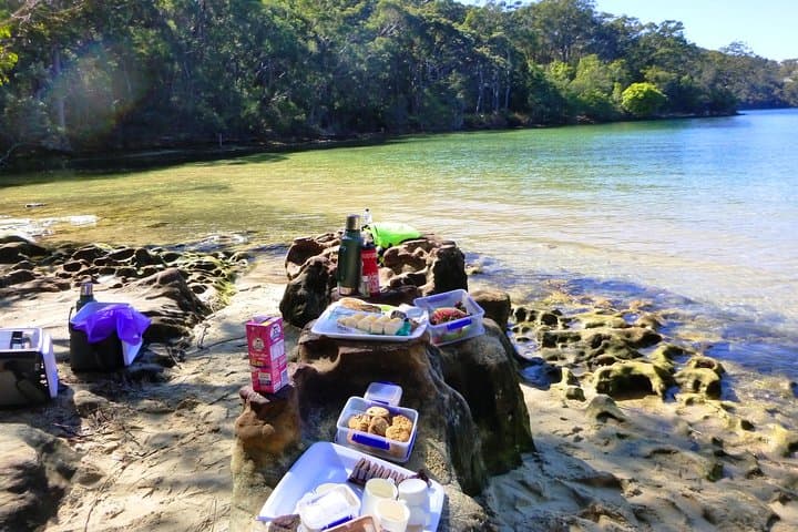 Middle Harbour Eco Kayak Tour — Guided Sea Kayaking from Spit Bridge photo 4