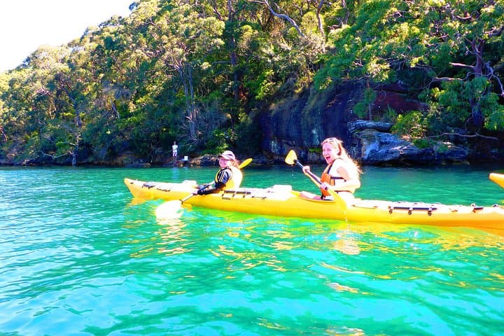 Middle Harbour Eco Kayak Tour — Guided Sea Kayaking from Spit Bridge photo 5