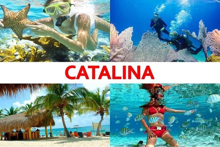 Catalina Island Snorkeling Day Trip from La Romana — Best Reef Snorkel & Beach photo 2