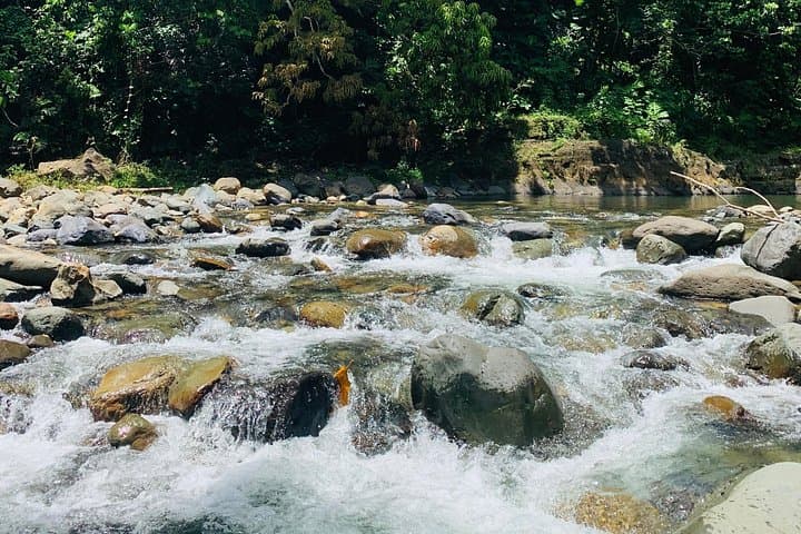From Concrete Jungle to El Yunque: Complete Private San Juan Day Tour photo 5