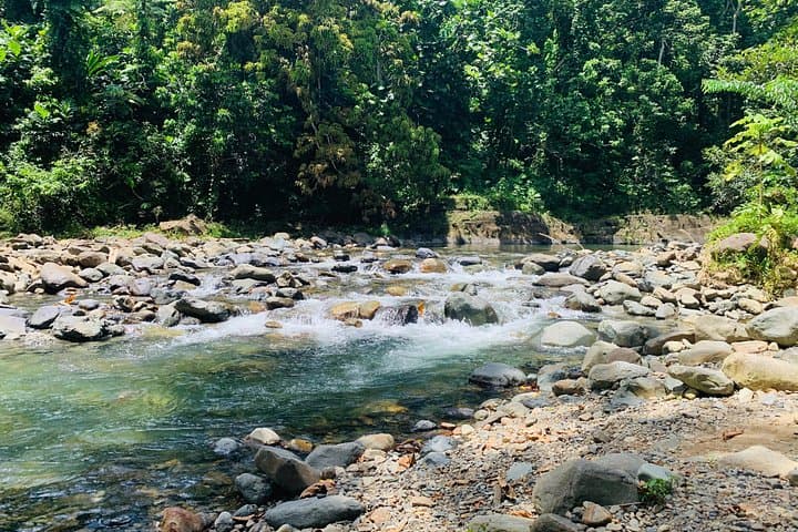 From Concrete Jungle to El Yunque: Complete Private San Juan Day Tour