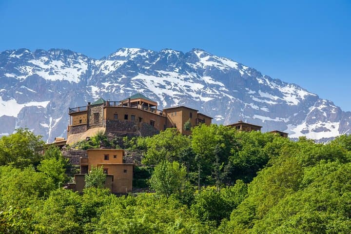 Berber Life Experience in the Atlas Mountains: Imlil Village Walk from Marrakech photo 6