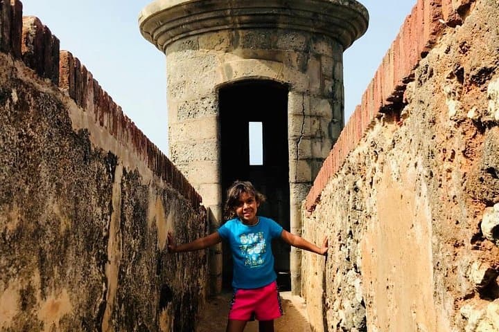 From Concrete Jungle to El Yunque: Complete Private San Juan Day Tour photo 3