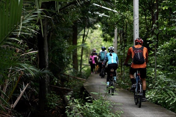 Bang Krachao Bike Tour: Cycle Bangkok's Urban Oasis Mangrove Trails photo 3