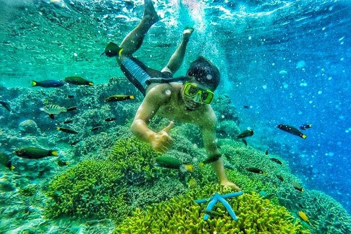 Snorkel Menjangan & Tabuhan: Full-Day Boat Trip from Banyuwangi to Pristine Reefs and White-Sand Beaches