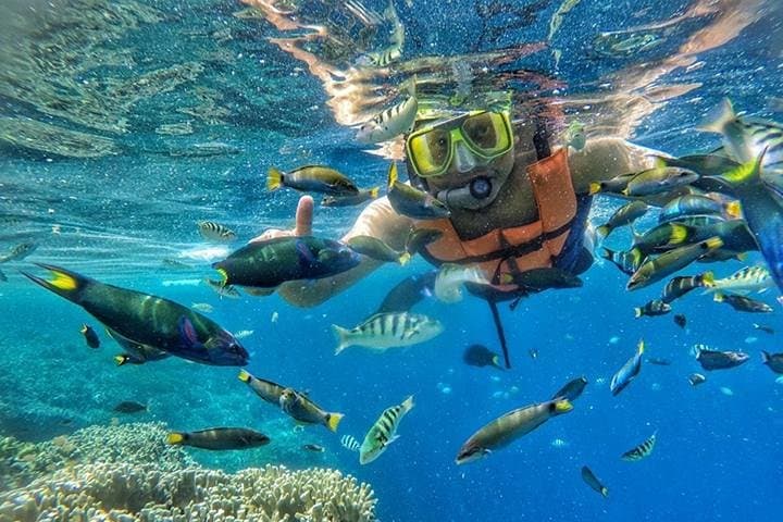Snorkel Menjangan & Tabuhan: Full-Day Boat Trip from Banyuwangi to Pristine Reefs and White-Sand Beaches photo 2