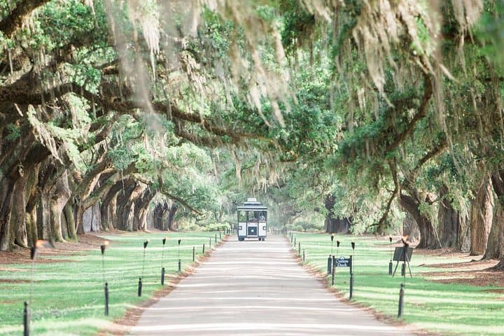 Boone Hall Plantation All-Access: Gardens, Gullah Culture & Historic Home Tour photo 2