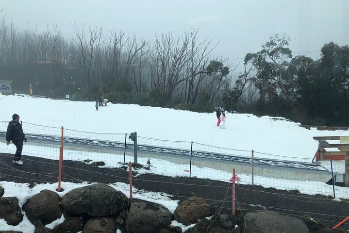 Private Snow Tour to Lake Mountain — Full-Day Snow Play from Melbourne (Jun–Sep) photo 1