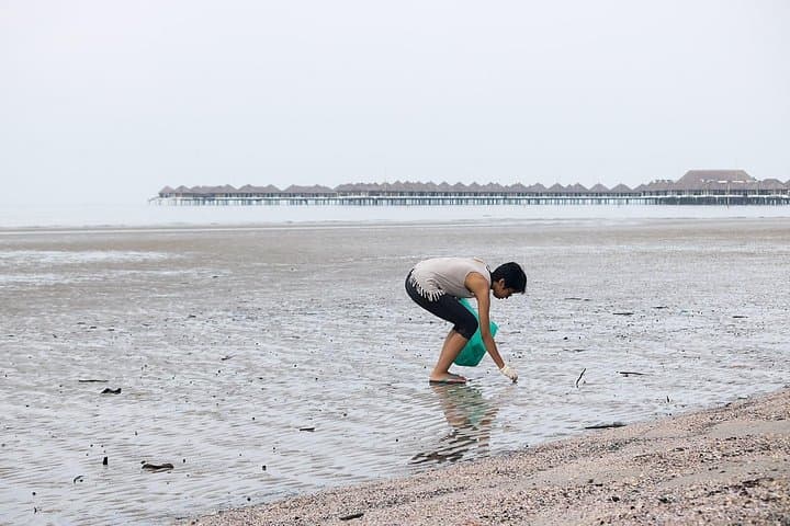 Bagan Lalang Beach Day Trip from Kuala Lumpur — Picnic, Kites & Seafood photo 3